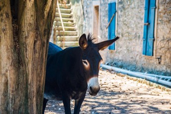 croatia for curious travelers a thoughtful journey 1