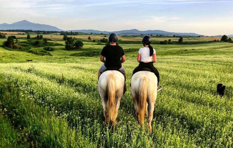 Horseback riding Croatia